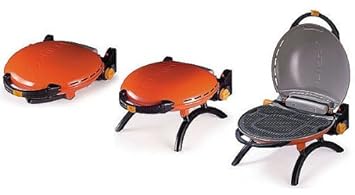 barbecue gaz o grill