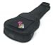 Pure Tone: Acoustic Guitar Bag