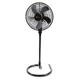16" Three-Speed Adjustable Oscillating Floor Fan, Metal and Plastic, Black