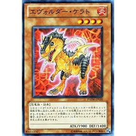 �V�Y���J�[�h �y�G���H���_�[�E�P���g [�X�[�p�[] �z PHSW-JP020-SR ��t�H�g���E�V���b�N�E�F�[�u��