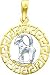 14K Two Tone Gold Capricorn Zodiac Charm