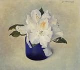 12X16 inch Wittenberg Jan Still life Sun Unedited Canvas Art Repro