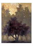 Depth and Tranquility by Connie Geerts,19.8 in. x 27.5 in.