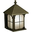 Kichler Traditional Solid Brass 9 1/2" Outdoor Wall Lantern