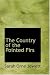 The
Country
of
the
Pointed
Firs