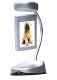 Floating Ideas Accessory - Three-Sided Photo Frame