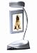 Kitchen & Housewares : Floating Ideas Accessory - Three-Sided Photo Frame