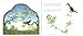 Decorative Designs: Over 100 Ideas for Painted Interiors, Furniture, and Decorated Objects