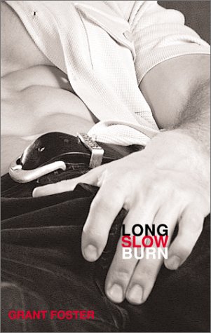 Long, Slow Burn: Masterful Gay Erotica
