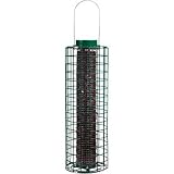 Bird Feeder - Squirrel Blocker (green) (15 high x 5 diameter)