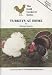 Turkeys at Home (The Gold Cockerel Series)