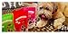 Dog Bark Naturals Beef Bark - All Natural Beef Jerky Dog and Puppy Treats, No Fillers, Responsibly Sourced and Made in The USA