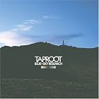 Blue-Sky Research by Taproot