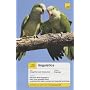 Linguistics (Teach Yourself Languages)