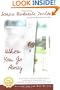 When You Go Away (Nal Accent Novels)