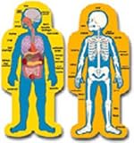 BB SET CHILD-SIZE HUMAN BODY 2