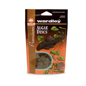 Wardley Premium Algae Discs 3 Ounce by Hartz