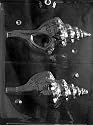 CONCH SHELL MAKE HOLLOW AND Nautical Candy Mold Chocolate