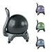 Gaiam Balance Ball Chair