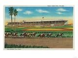 Santa Anita Park Horse Races - Arcadia, CA Travel Premium Poster Print, 18x24