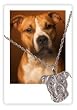 Custom Pet Charm & Chain - Create a One-Of-A-Kind 3D Custom Necklace of Your Pet From Your Favorite Photo - 14K White Gold 3-D Photo Charm Pendant With Bail Hung on an 18" Chain.