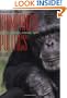 Chimpanzee Politics: Power and Sex among Apes