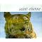 ��saint etienne lover��