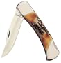 Bear and Son 5" Genuine India Stag Bone Lockback with Leather Sheath