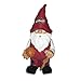 Cleveland Cavaliers 2008 Team Gnome