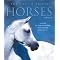 learn about horse behaviour
