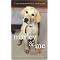 Must-Read Books About Pets