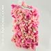 poodle32  - Pink Poodle Retro iPod Case by Cute Cases