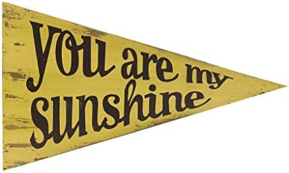Decoratively Enticing Sunshine Pennant Home Wall Art Décor