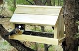 Outdoor Living : White Cedar Bird Feeder