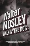 Walkin' the Dog