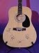 The Foo Fighters Autographed/Hand Signed Autographed/Hand Signed Guitar