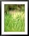 41GQdfr4GQL. SL75  Photography Tips: 5 Tips for Amateur Photographers