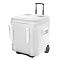 Igloo Icecube Marine Ultra Organizer