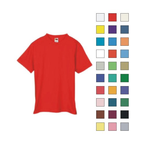 Fruit of the Loom - Adult Best T-Shirt (5930)