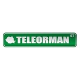  TELEORMAN ST  STREET SIGN CITY ROMANIA