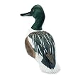 Wading Northern Shoveler Duck Decoy