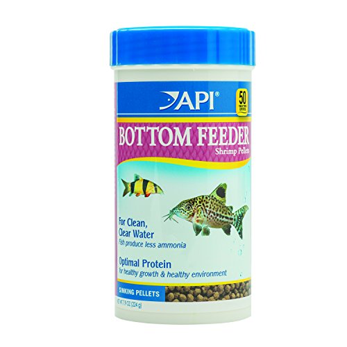 Top 5 Best Shrimp Feeder For Sale 2016 Product Boomsbeat