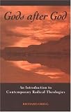 Cover of Gods After God by Richard Grigg 079146640X