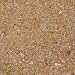 Super Natural - Torpedo Beach Sand