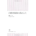 自動車保険の落とし穴 (朝日新書)