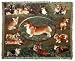 Welsh Corgi Dogs Cotton Tapestry Throw Blanket MSD