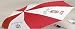 Delta Sigma Theta Folding Umbrella