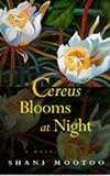 Cereus Blooms At Night
