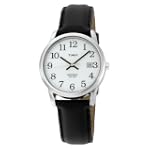 Timex Mens