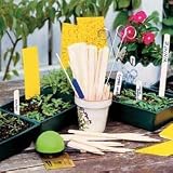 Garden Markers - 8-inch White Birch Plant Tags (Pkg of 50)